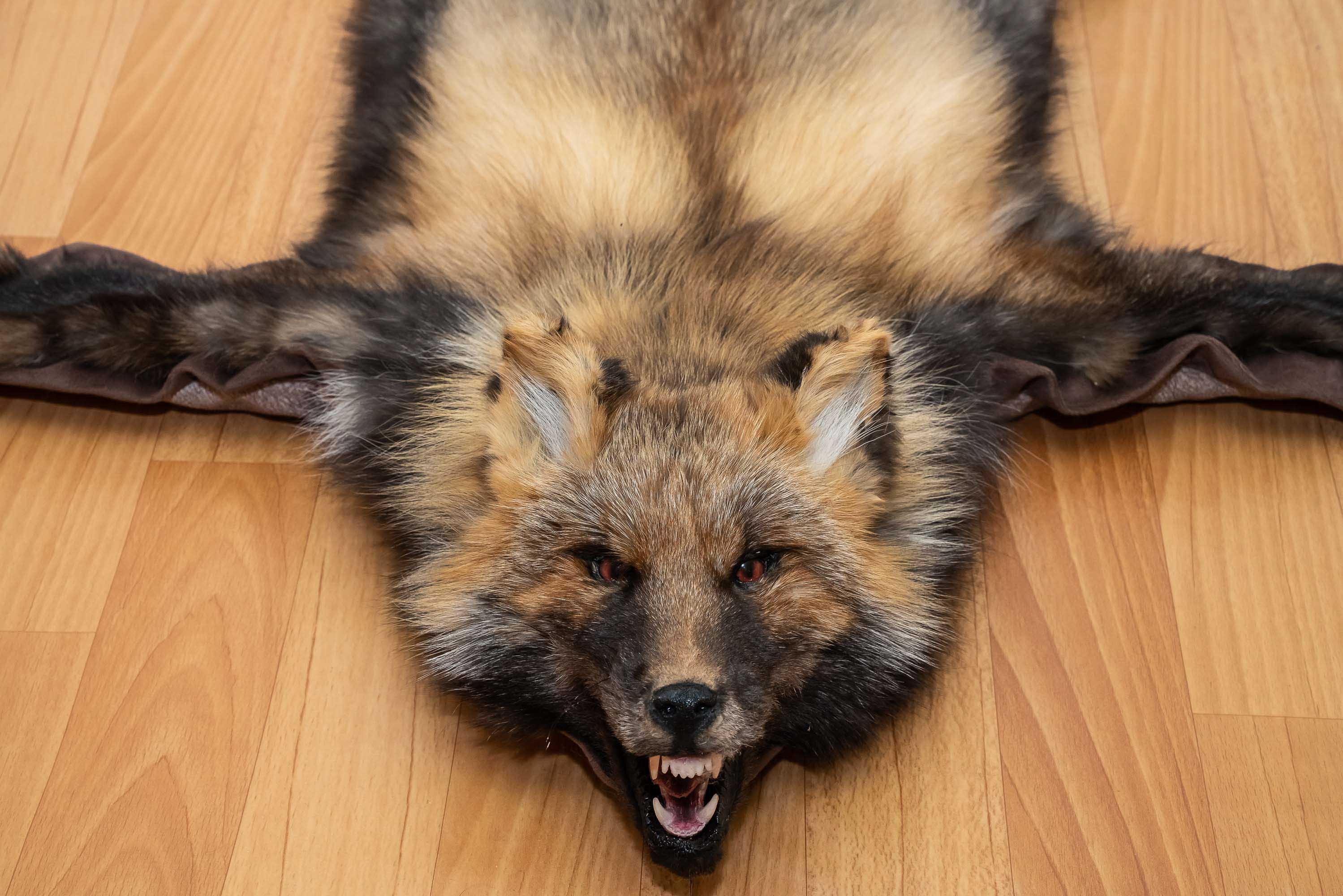 SIBERIAN RED FOX TAXIDERMY RUG MOUNT WITH HEAD - MOUNTED PELT, FUR ...