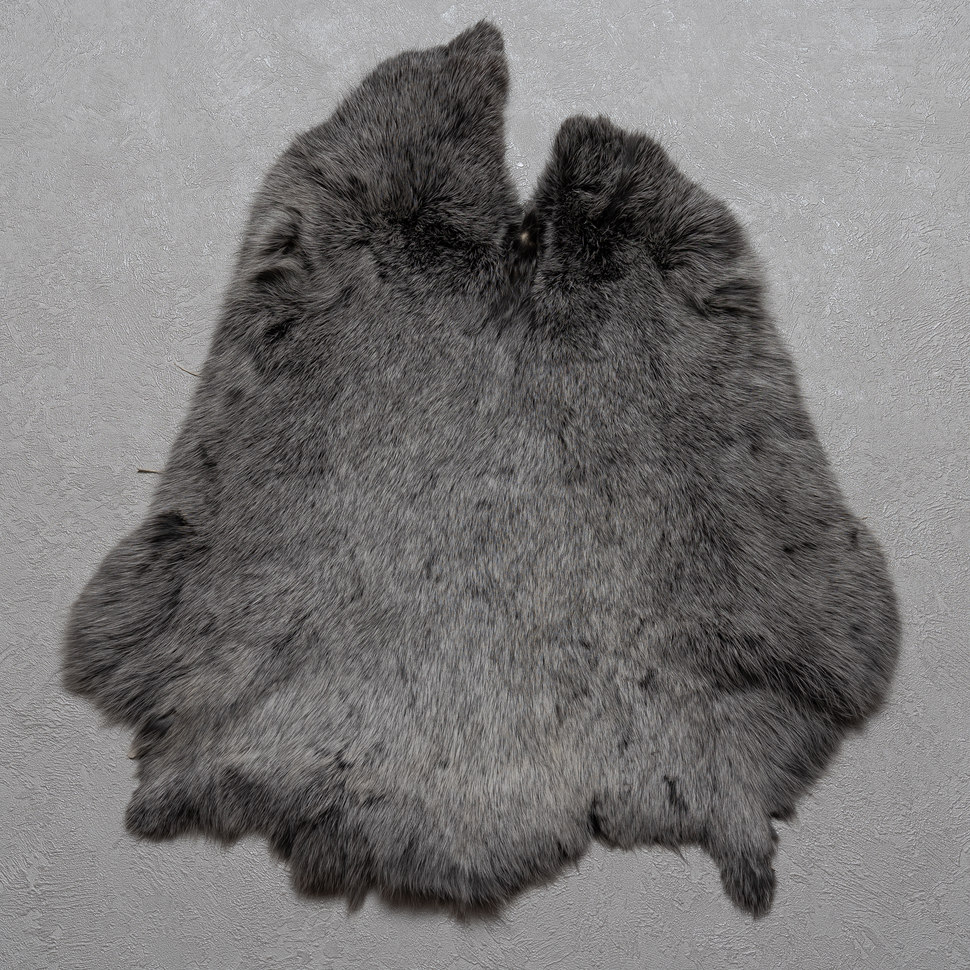 SILVER RABBIT TANNED FUR PELT - SKIN, HIDE FOR SALE - REAL, DECOR ...