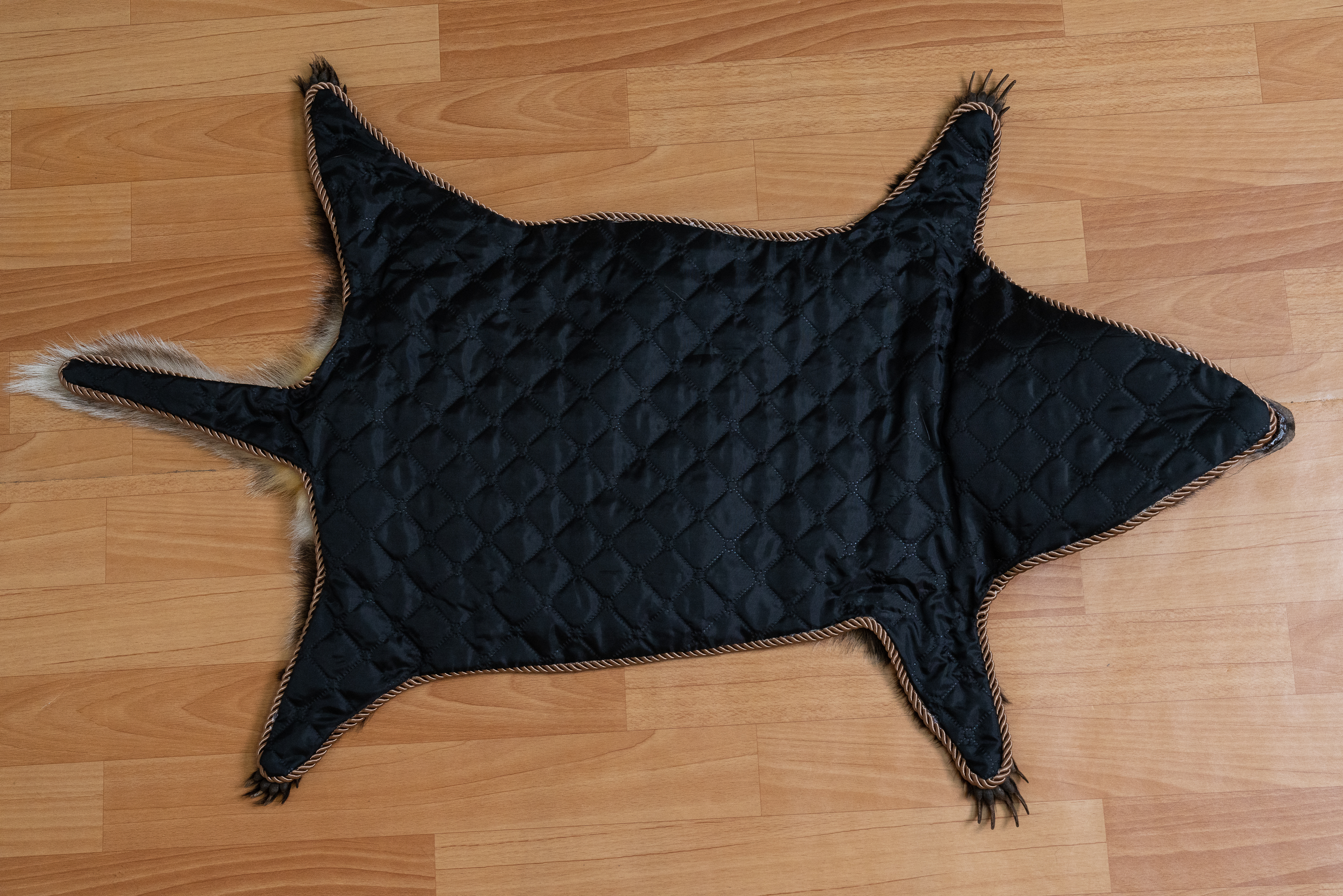EURASIAN BADGER TAXIDERMY RUG MOUNT WITH HEAD - MOUNTED PELT, FUR, SKIN ...