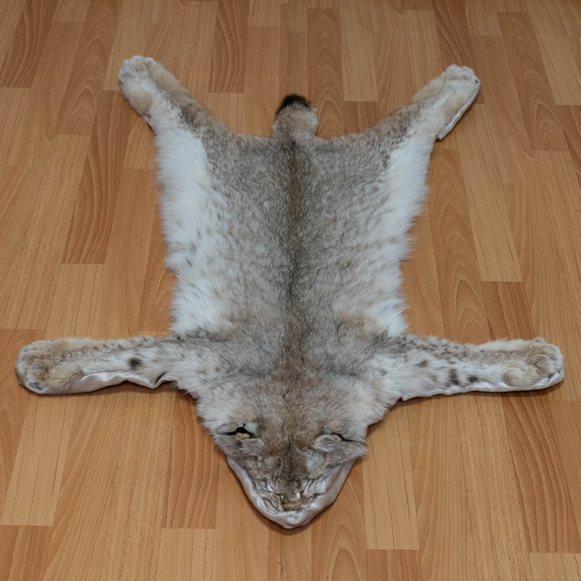EURASIAN LYNX TAXIDERMY RUG MOUNT - MOUNTED PELT, FUR, SKIN, HIDE FOR ...