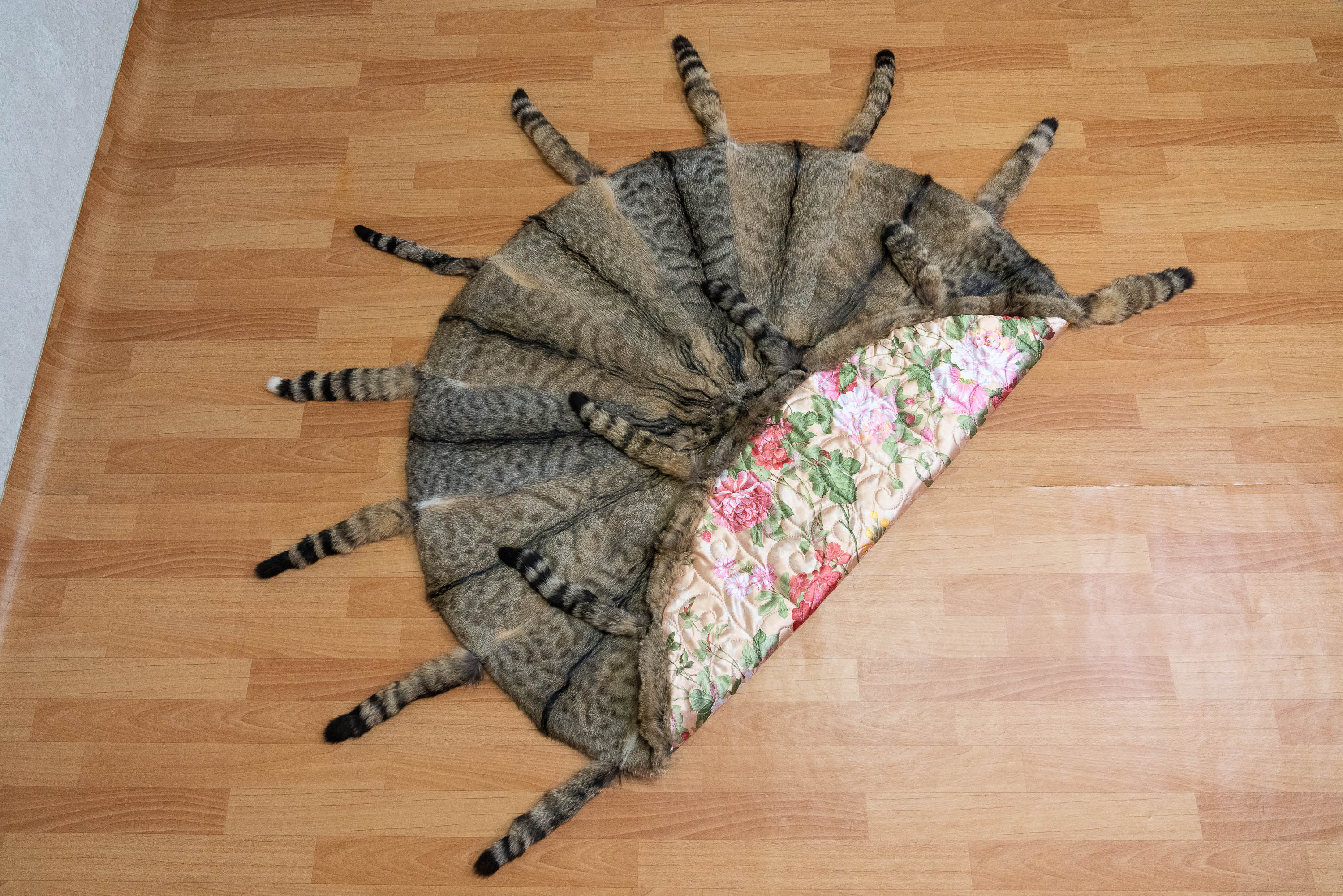 EUROPEAN WILDCAT REAL GENUINE FUR CARPET, RUG, THROW - NATURAL FUR ...