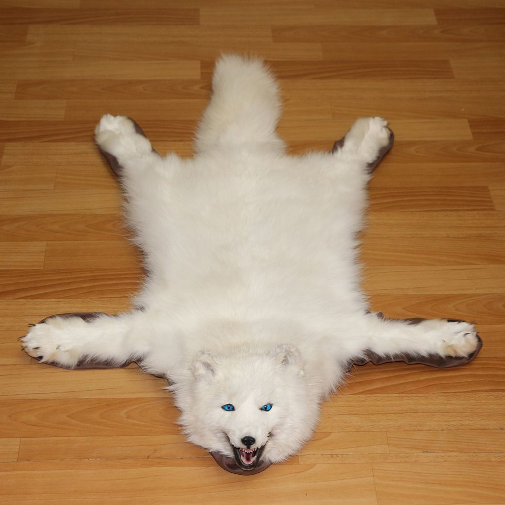 ARCTIC FOX - TAXIDERMY RUG, CARPET FOR SALE - FUR, PELT, HIDE, SKIN ...
