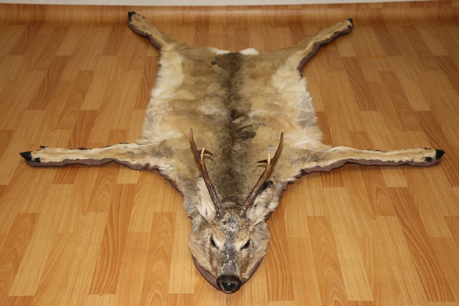 SIBERIAN ROE DEER - TAXIDERMY RUG, CARPET FOR SALE - FUR, PELT, HIDE ...